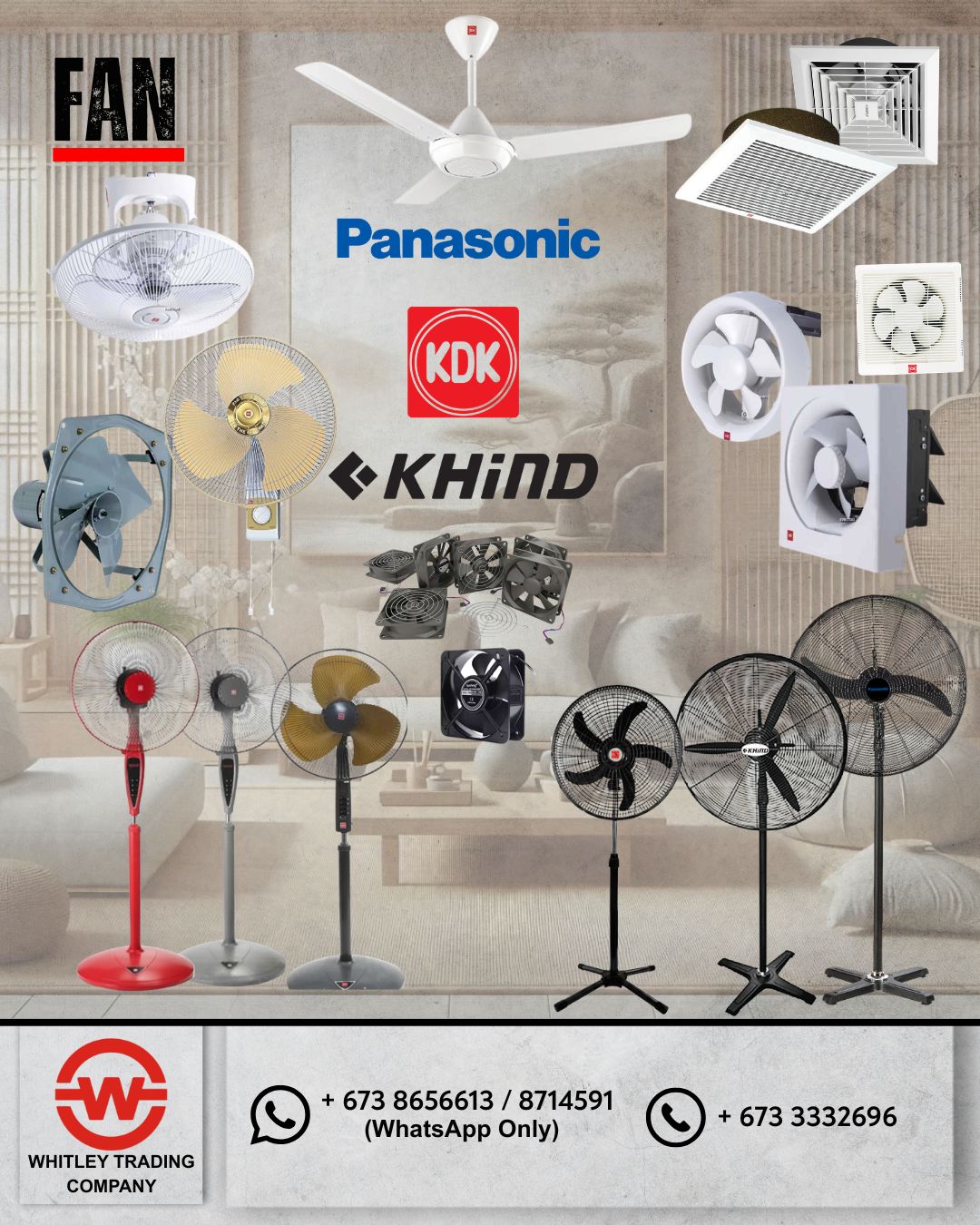 Fan